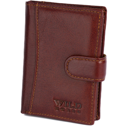 WILD 01A - BROWN 2