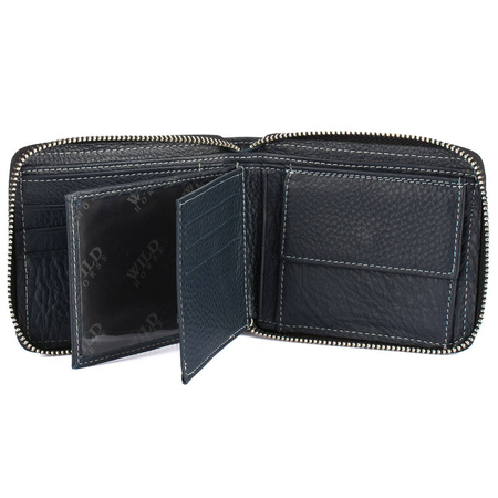 WILD 09 - BLUE / WHITE