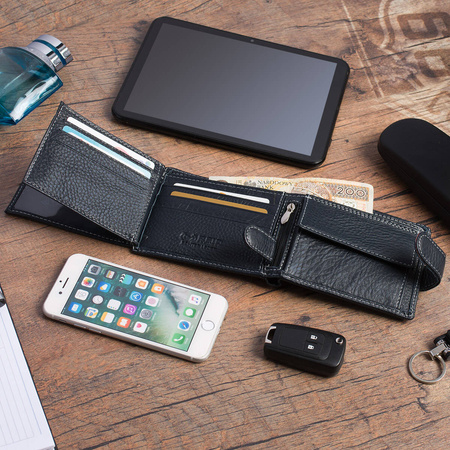 WILD 02A - BLUE / WHITE