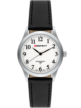 PERFECT GXIP004-06