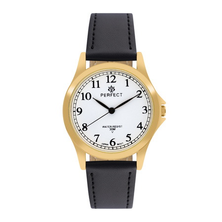 PERFECT GP005-11