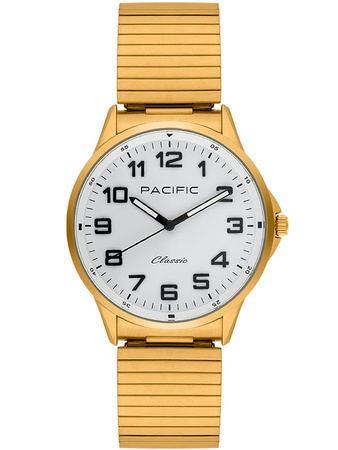 PACIFIC AMD-0008-06