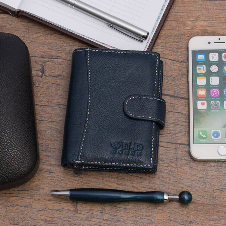 WILD 01A - BLUE / WHITE