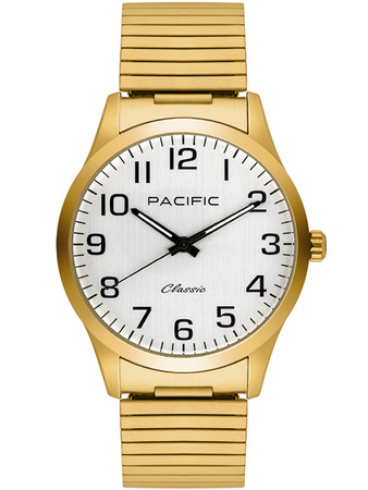 PACIFIC AMD-0009-06