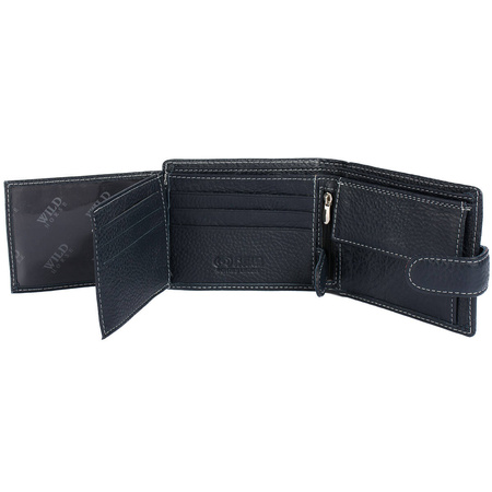 WILD 02A - BLUE / WHITE