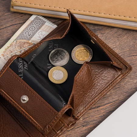 PORTFEL AP 98-110 BROWN 9