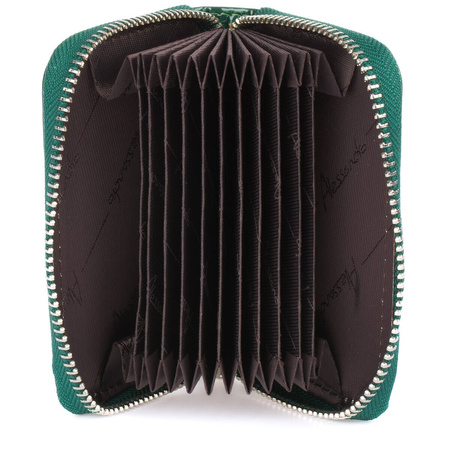 ALESSANDRO PAOLI 65-88 VERDE - WIZYTOWNIK