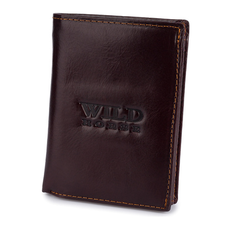 WILD 10B - BROWN 2