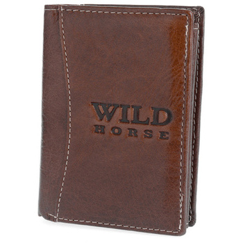 WILD 01B - BROWN 2