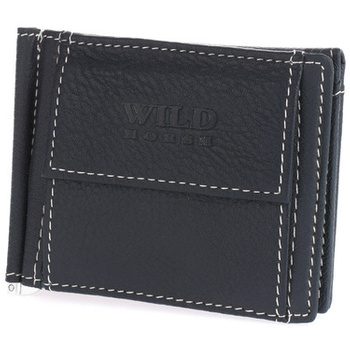 WILD 16 - BLUE / WHITE