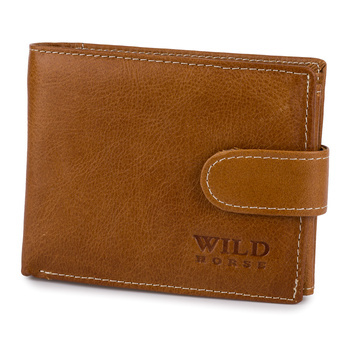 WILD 31A - BROWN 11