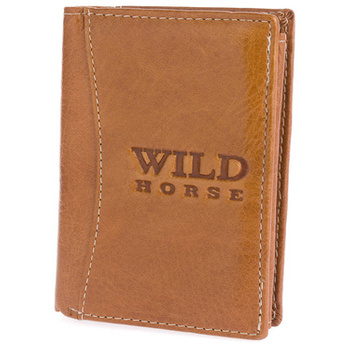 WILD 01B - BROWN 11