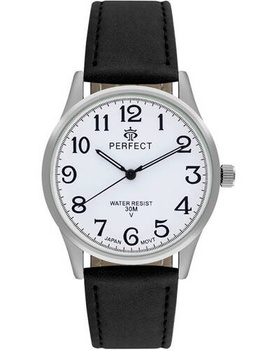 PERFECT GXB421-01