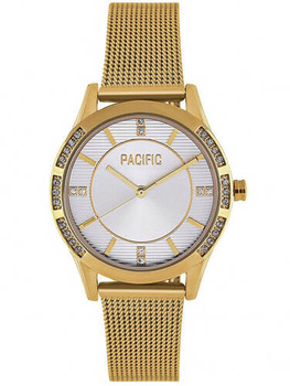 PACIFIC X6213-04