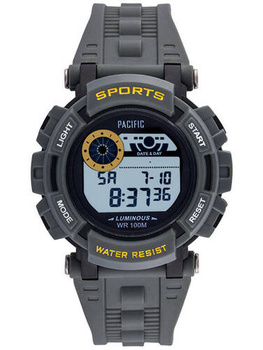 X PACIFIC LCD 2142G-03