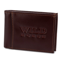 WILD 33B - BROWN 2