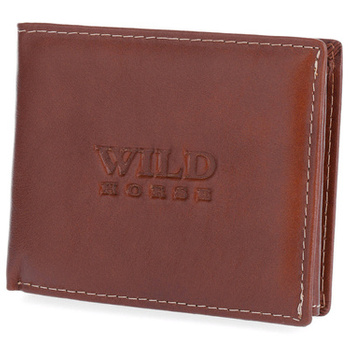 WILD 02B - BROWN 2