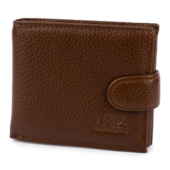 PORTFEL AP 98-153 BROWN 9